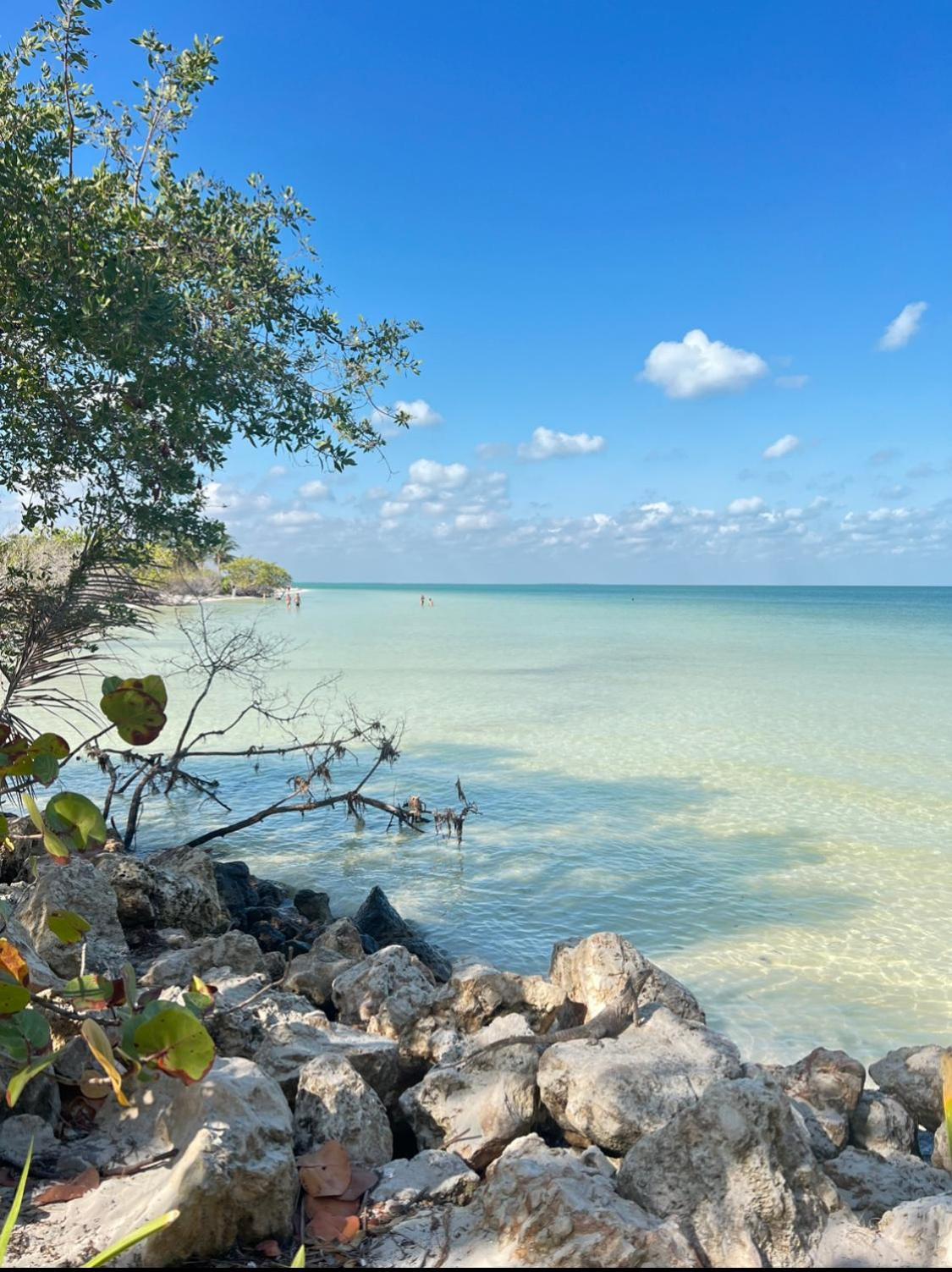 Atenea Holbox 外观 照片