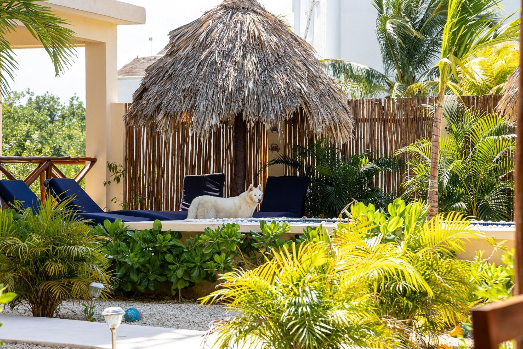 Atenea Holbox 外观 照片